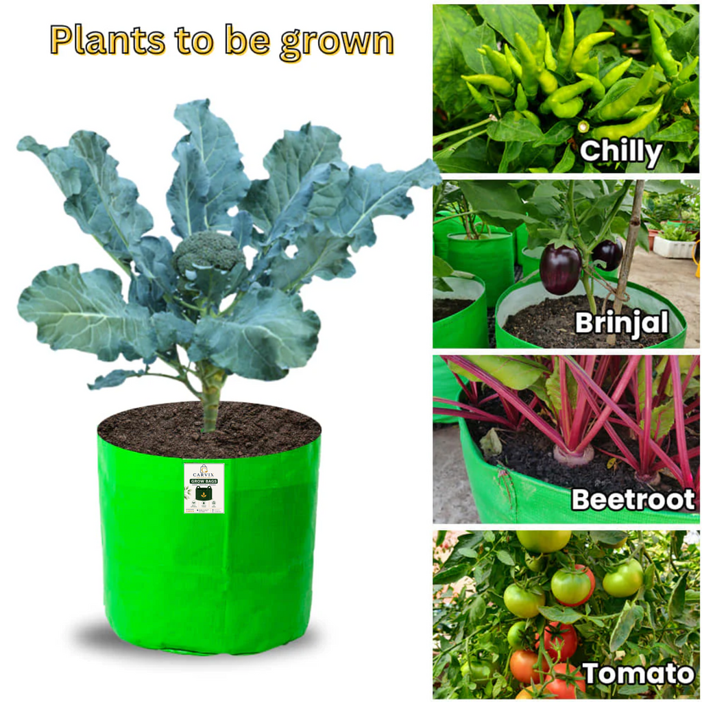 Carvix 15x9 Grow Bag for Terrace Garden, Premium HDPE 260 GSM, Green Plant Bags