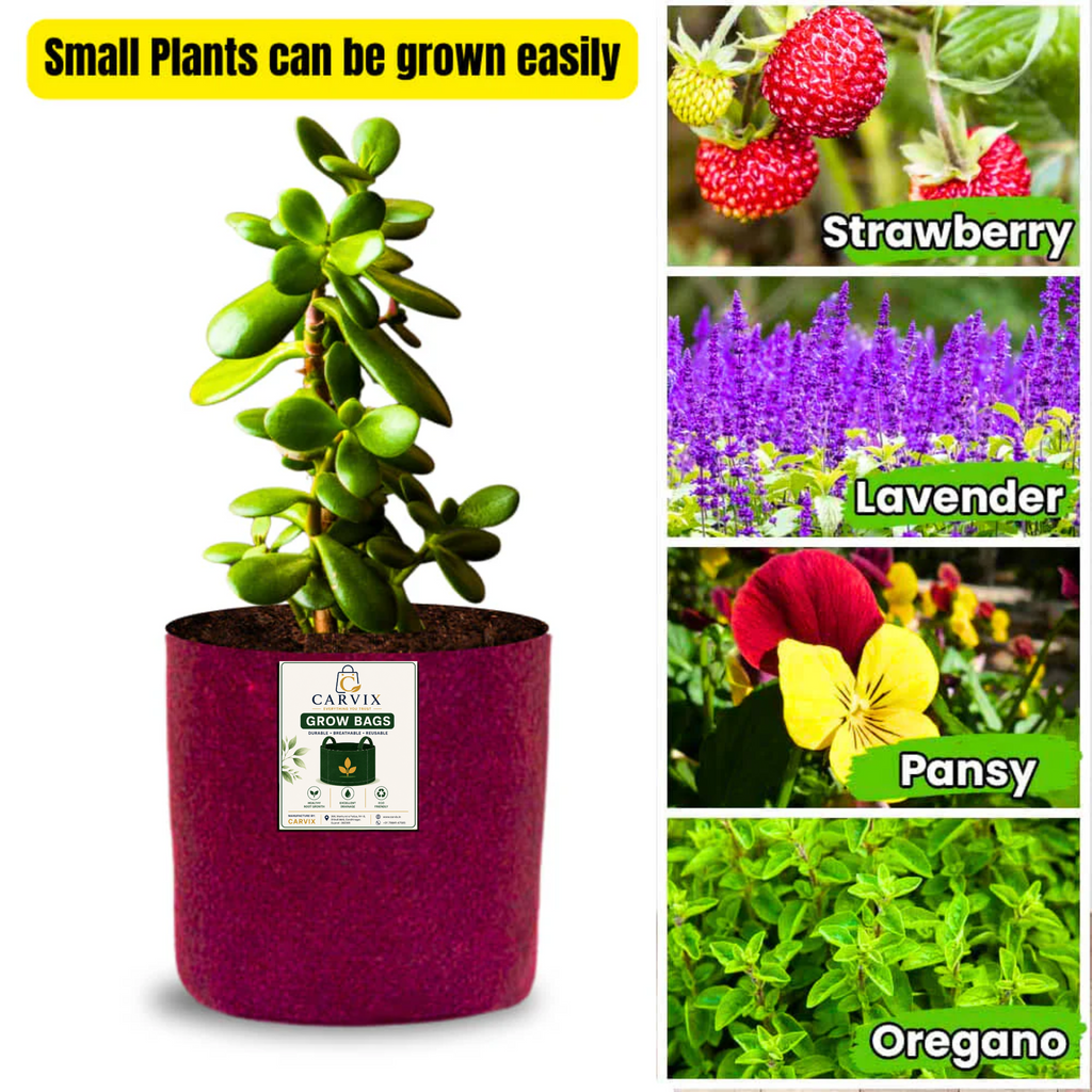 Carvix 6x6 Small Size Grow Bags for Terrace Gardening, Premium Quality Geo Fabric 450 GSM Planters for Small Plants