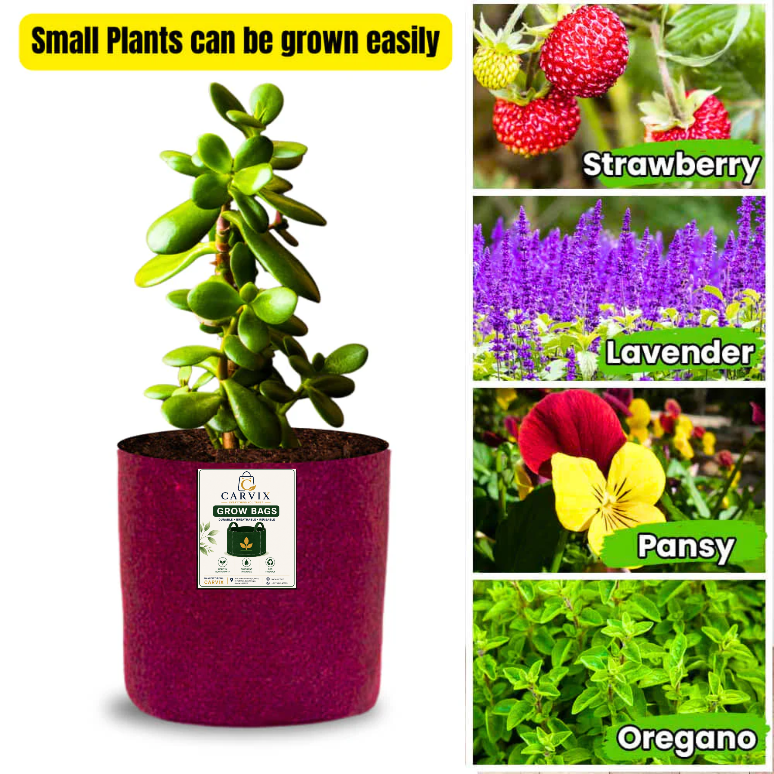 Carvix 6x6 Small Size Grow Bags for Terrace Gardening, Premium Quality Geo Fabric 450 GSM Planters for Small Plants