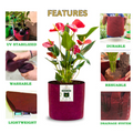 Carvix 6x6 Small Size Grow Bags for Terrace Gardening, Premium Quality Geo Fabric 450 GSM Planters for Small Plants