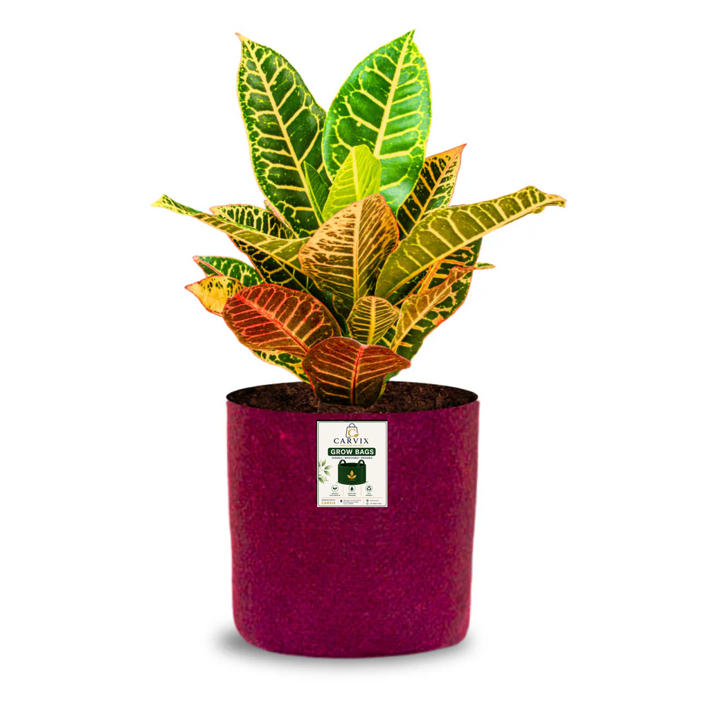 Carvix 6x6 Small Size Grow Bags for Terrace Gardening, Premium Quality Geo Fabric 450 GSM Planters for Small Plants