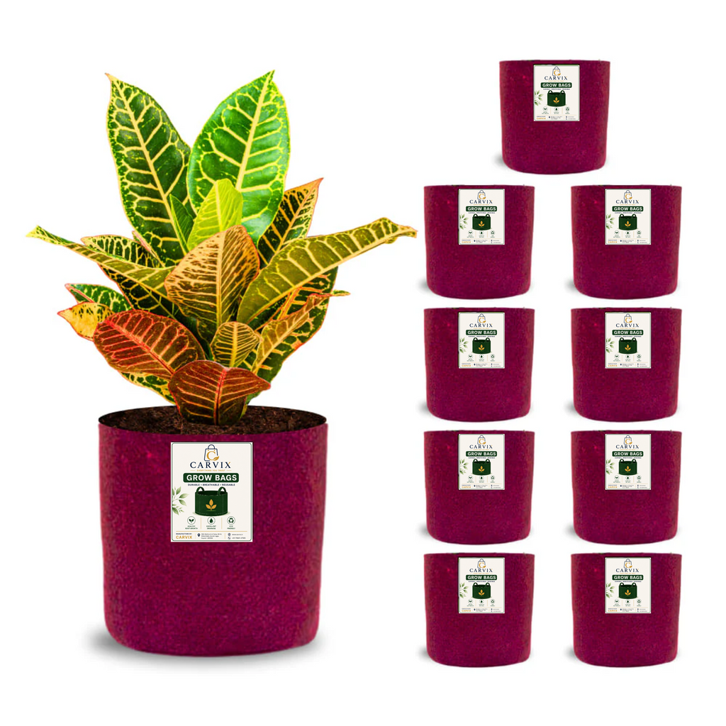 Carvix 6x6 Small Size Grow Bags for Terrace Gardening, Premium Quality Geo Fabric 450 GSM Planters for Small Plants