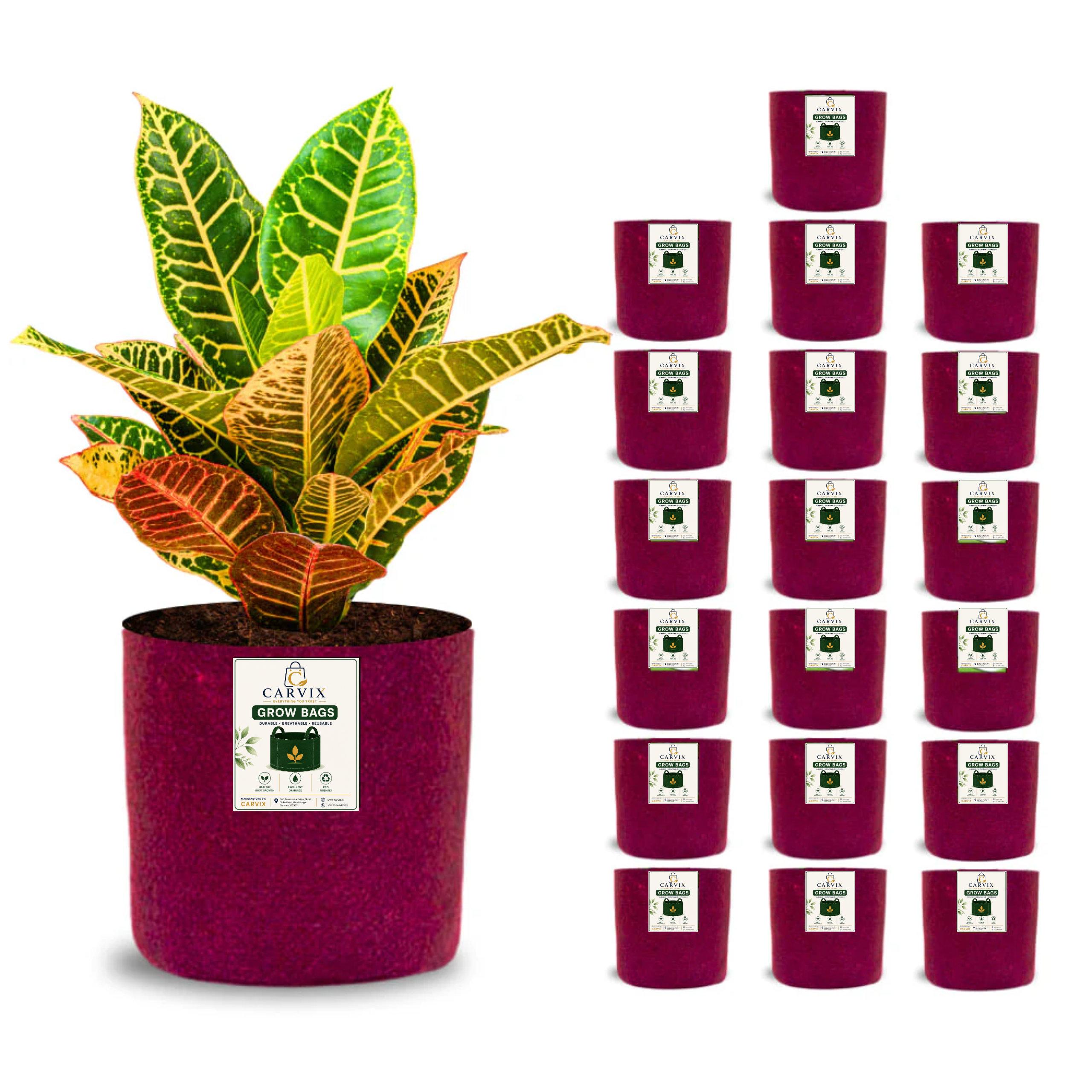 Carvix 6x6 Small Size Grow Bags for Terrace Gardening, Premium Quality Geo Fabric 450 GSM Planters for Small Plants