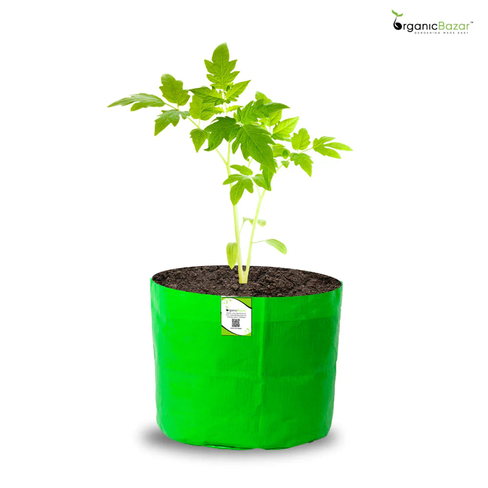 Carvix 5x5 Small Size Grow Bag