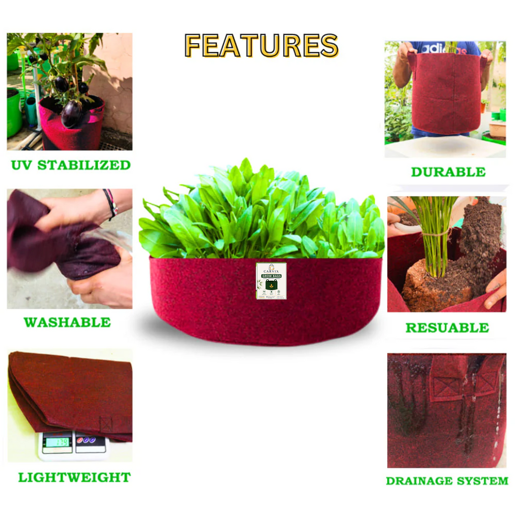 Carvix Geo 18x6 Leafy Grow Bags for Leafy Vegetables for Terrace Garden, Premium Geo Fabric 450 GSM Plant Bags