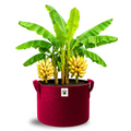 Carvix Geo 24×24 Grow Bag for Home & Terrace Gardening Suitable for Fruit Tree, Premium Geo Fabric 450 GSM Plant Bags