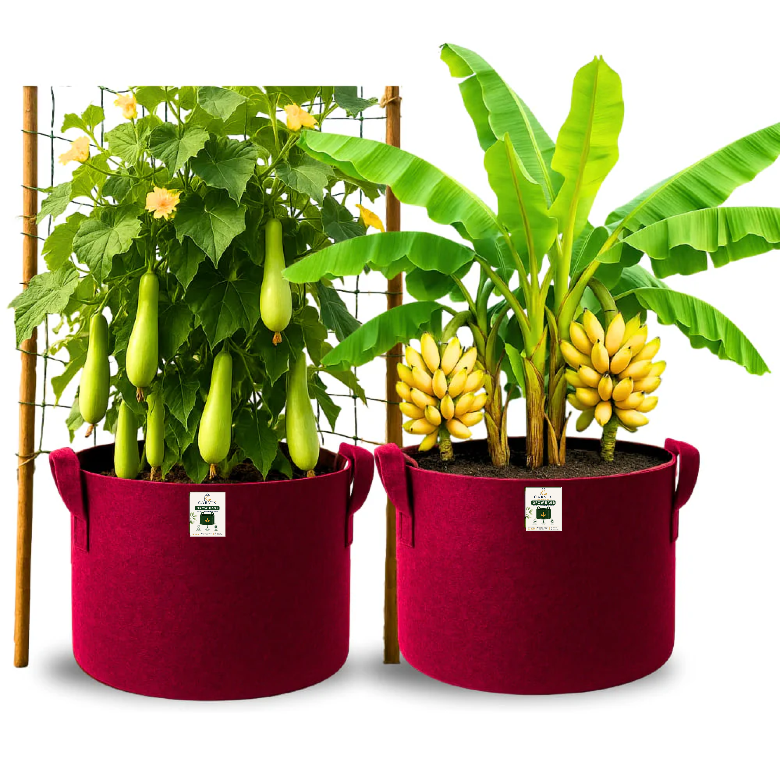 Carvix Geo 24×24 Grow Bag for Home & Terrace Gardening Suitable for Fruit Tree, Premium Geo Fabric 450 GSM Plant Bags