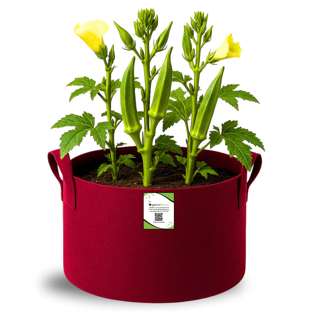 Carvix Premium 15x18 Geo Fabric Grow Bags For Terrace Gardening