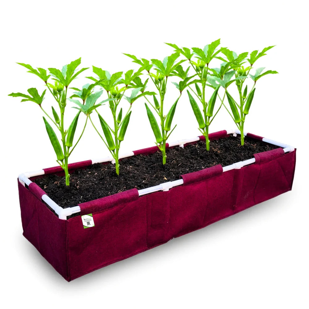 Carvix 60x12x12 Geo Fabric rectangular Grow Bag With Supporting PVC Pipes for Terrace and Balcony Garden