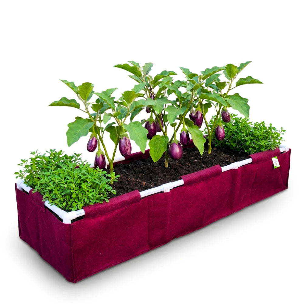 Carvix 60x15x15 Geo Fabric Rectangular Grow Bag With Supporting PVC Pipes for Terrace Garden, Premium Geo Fabric 450 GSM Raised Bed Planter