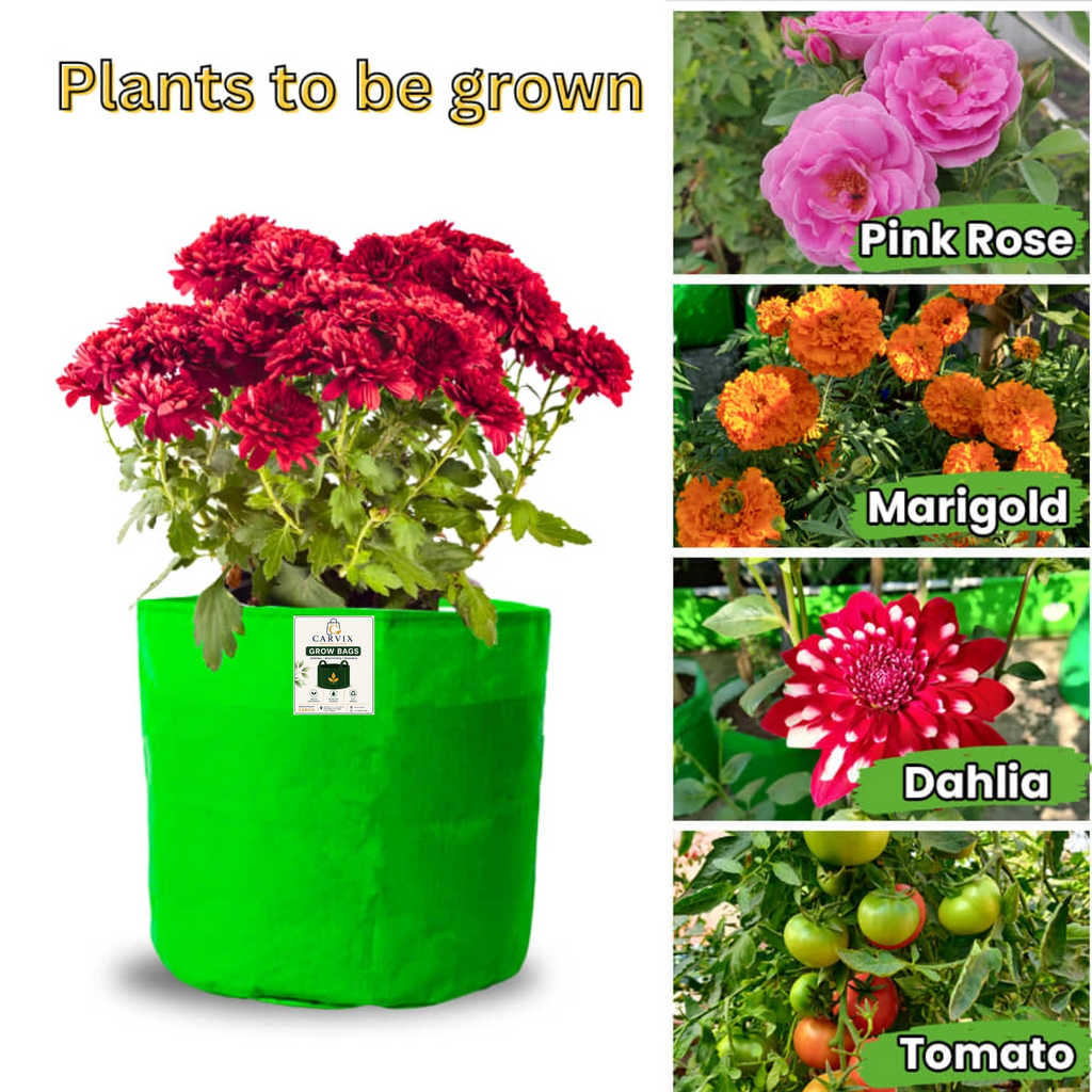 Carvix 6x6 Small Size Grow Bag for Home Gardening, Premium HDPE 260 GSM, Green Plant Bags