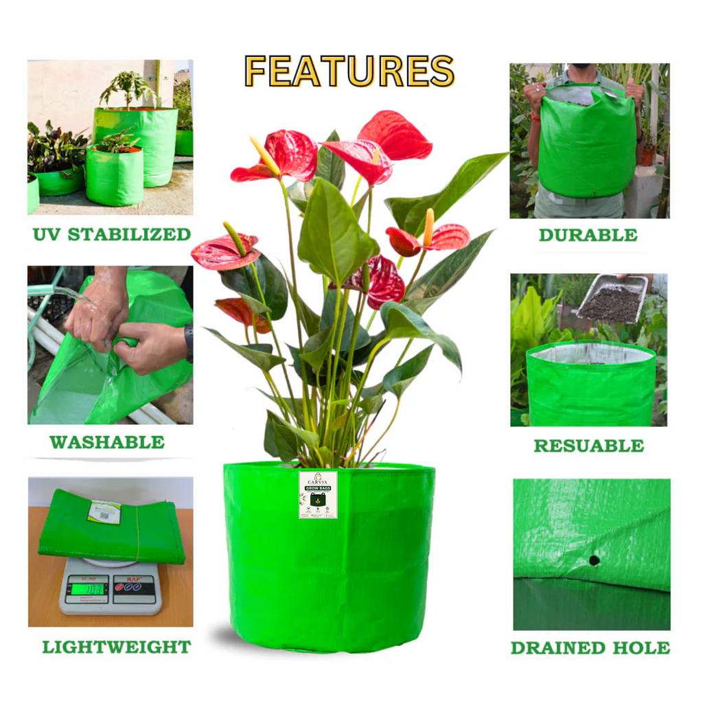 Carvix 6x6 Small Size Grow Bag for Home Gardening, Premium HDPE 260 GSM, Green Plant Bags