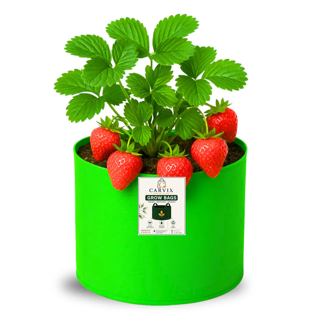 Carvix 6x6 Small Size Grow Bag for Home Gardening, Premium HDPE 260 GSM, Green Plant Bags