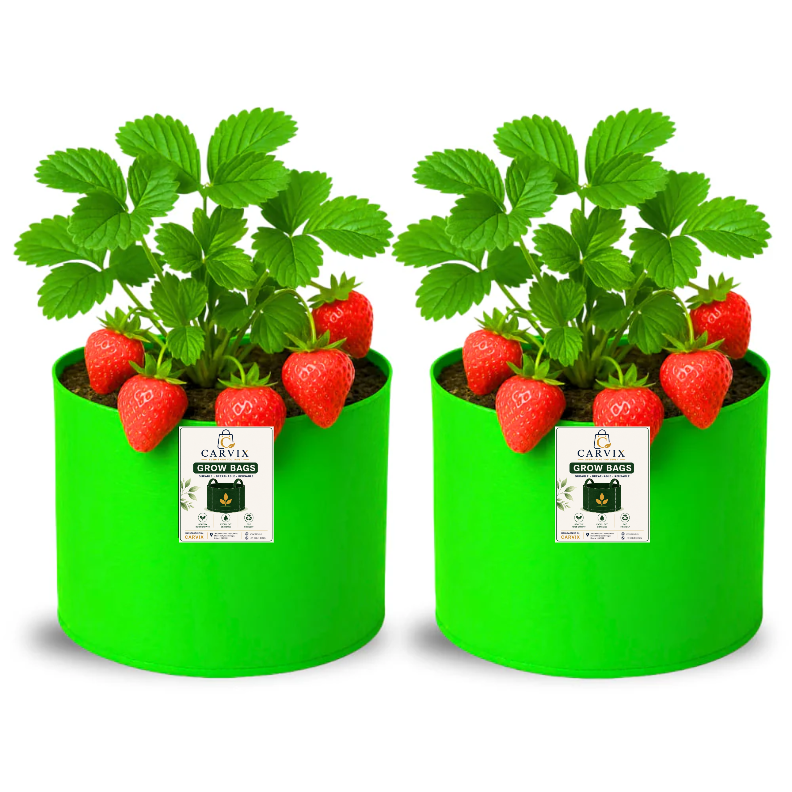 Carvix 6x6 Small Size Grow Bag for Home Gardening, Premium HDPE 260 GSM, Green Plant Bags