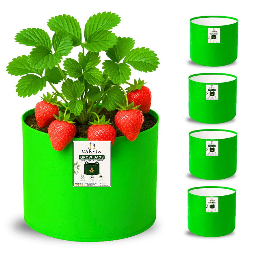 Carvix 6x6 Small Size Grow Bag for Home Gardening, Premium HDPE 260 GSM, Green Plant Bags