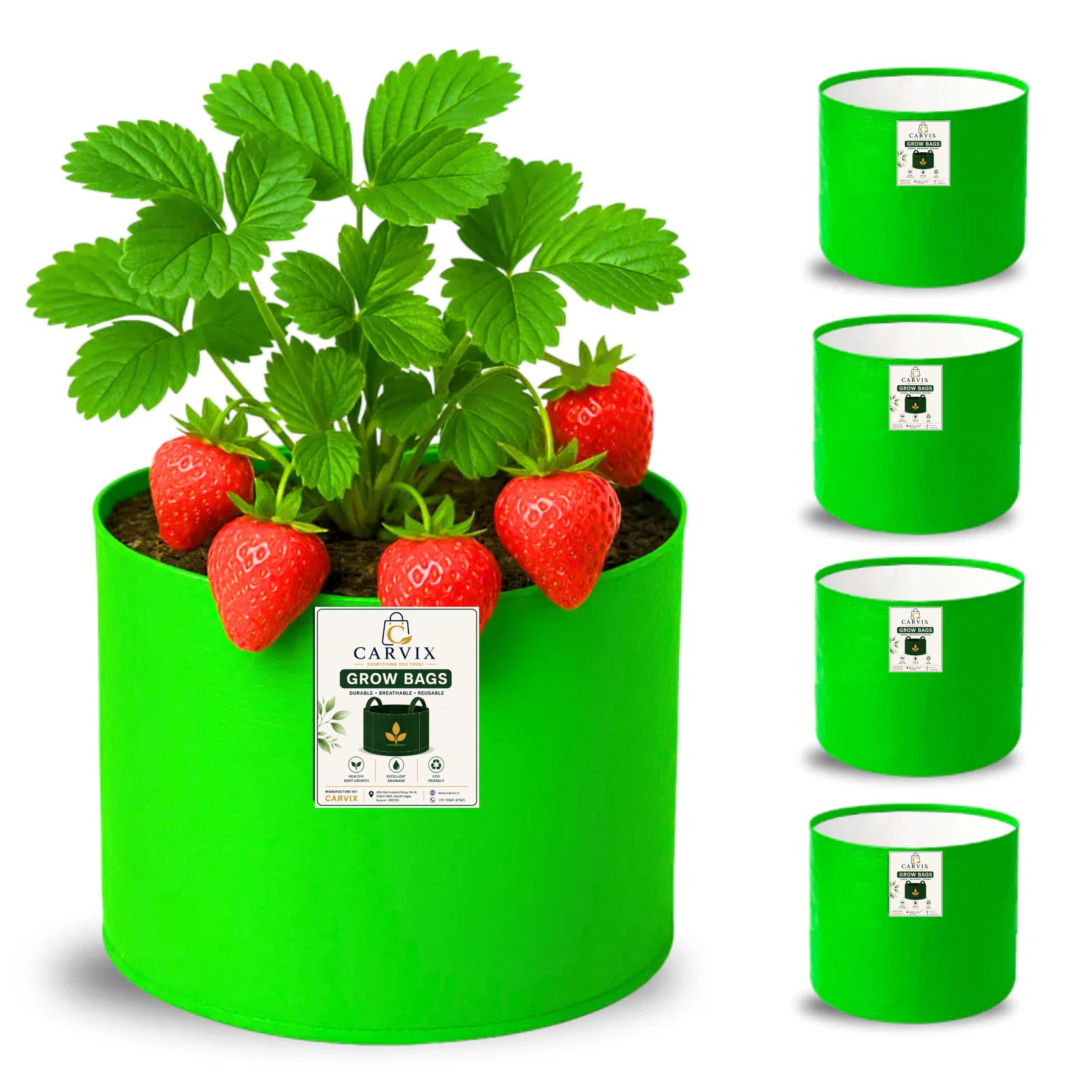 Carvix 6x6 Small Size Grow Bag for Home Gardening, Premium HDPE 260 GSM, Green Plant Bags