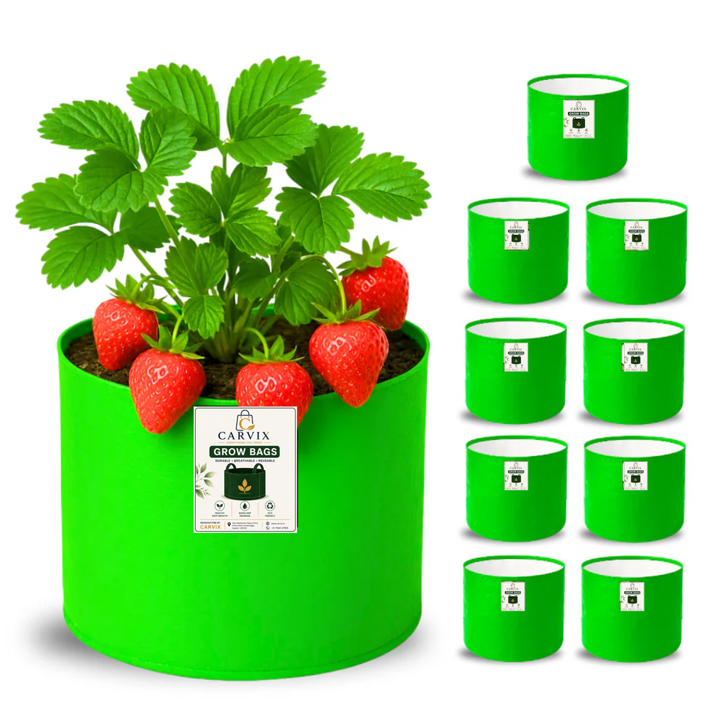 Carvix 6x6 Small Size Grow Bag for Home Gardening, Premium HDPE 260 GSM, Green Plant Bags