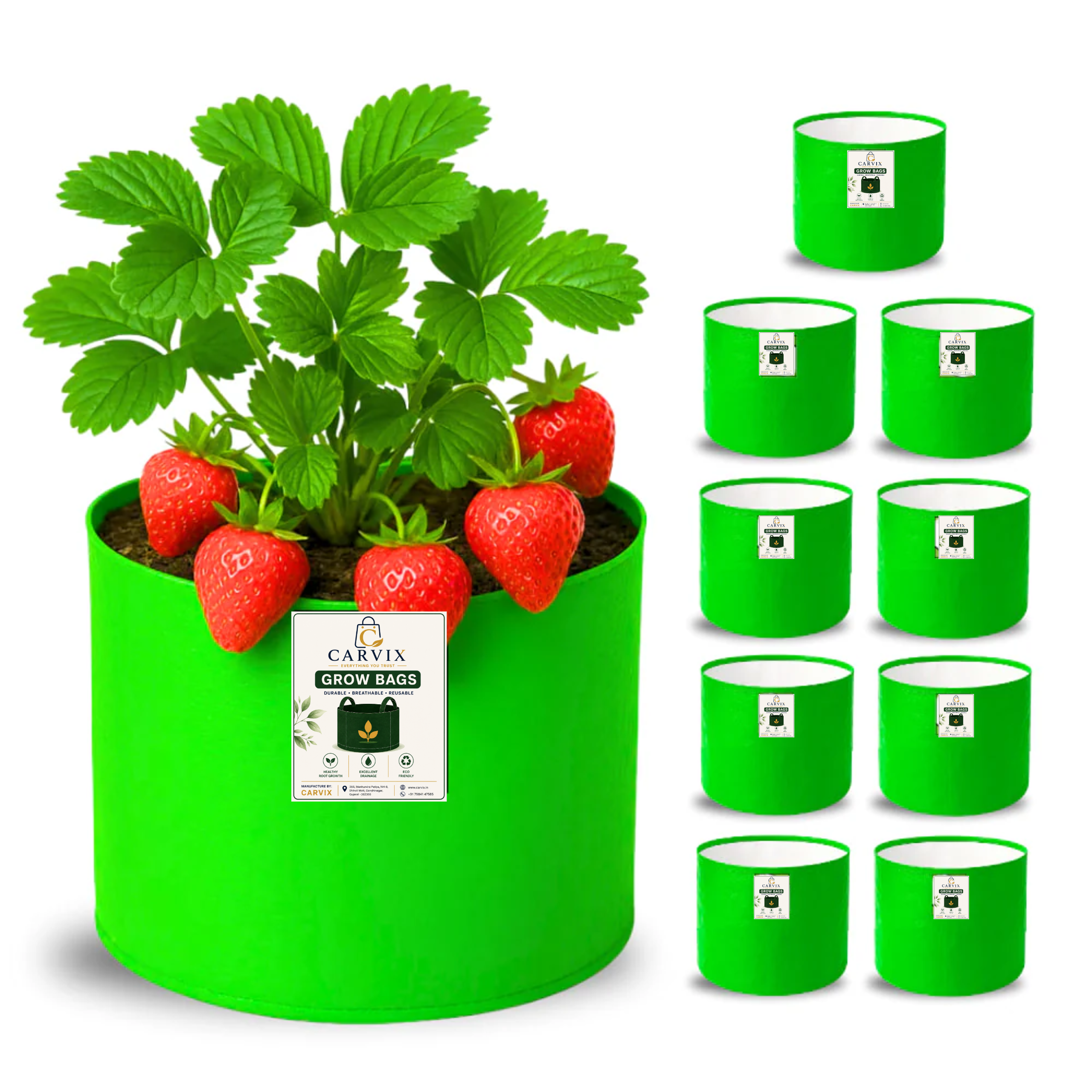 Carvix 6x6 Small Size Grow Bag for Home Gardening, Premium HDPE 260 GSM, Green Plant Bags