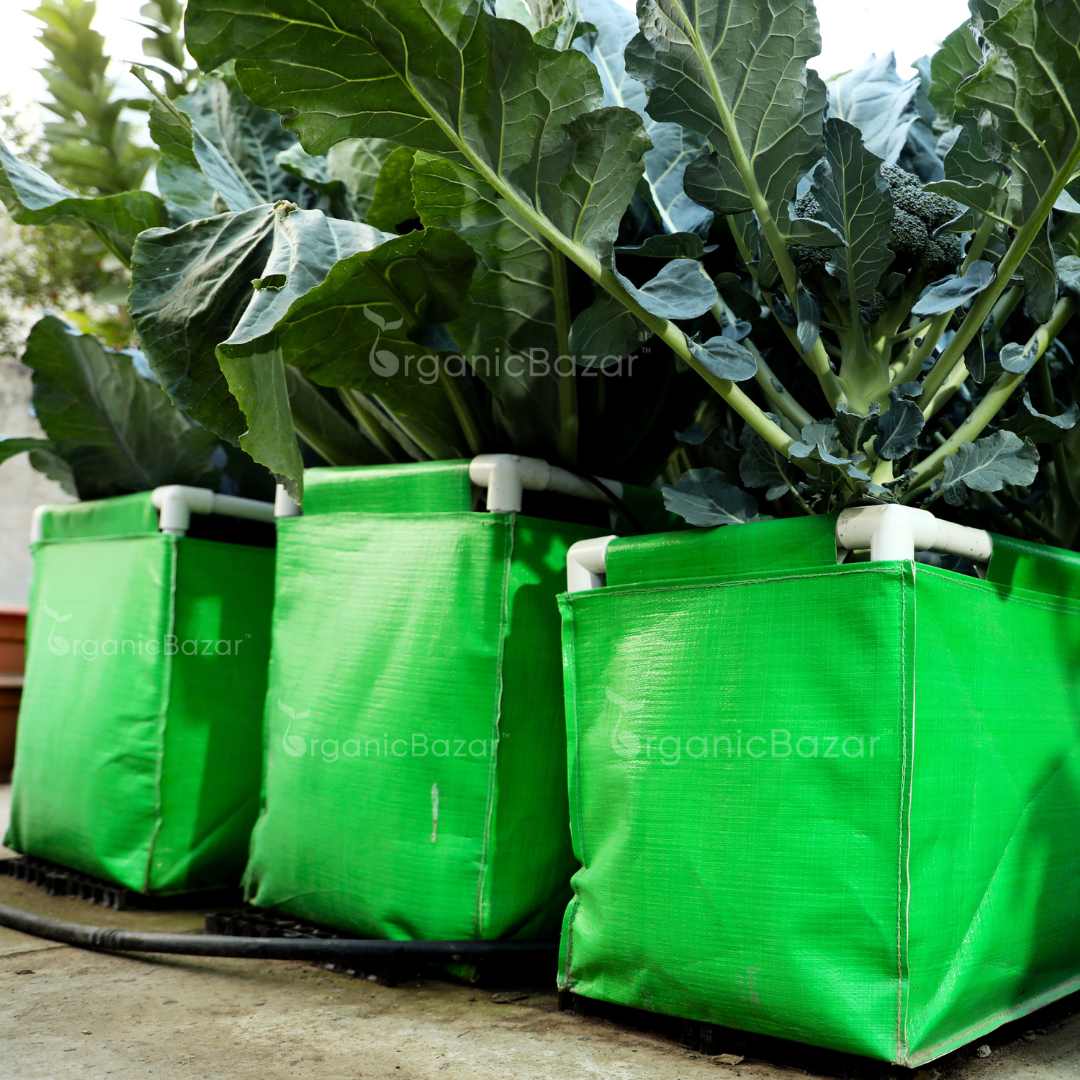 Carvix HDPE 60x15x15 Rectangle Grow Bag With Supporting Pvc Pipes Extra Thick Premium Quality Grow Bags