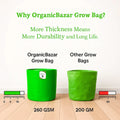 Carvix HDPE 18x18 Grow Bags for Terrace Gardening Extra Thick Premium Quality Grow Bags