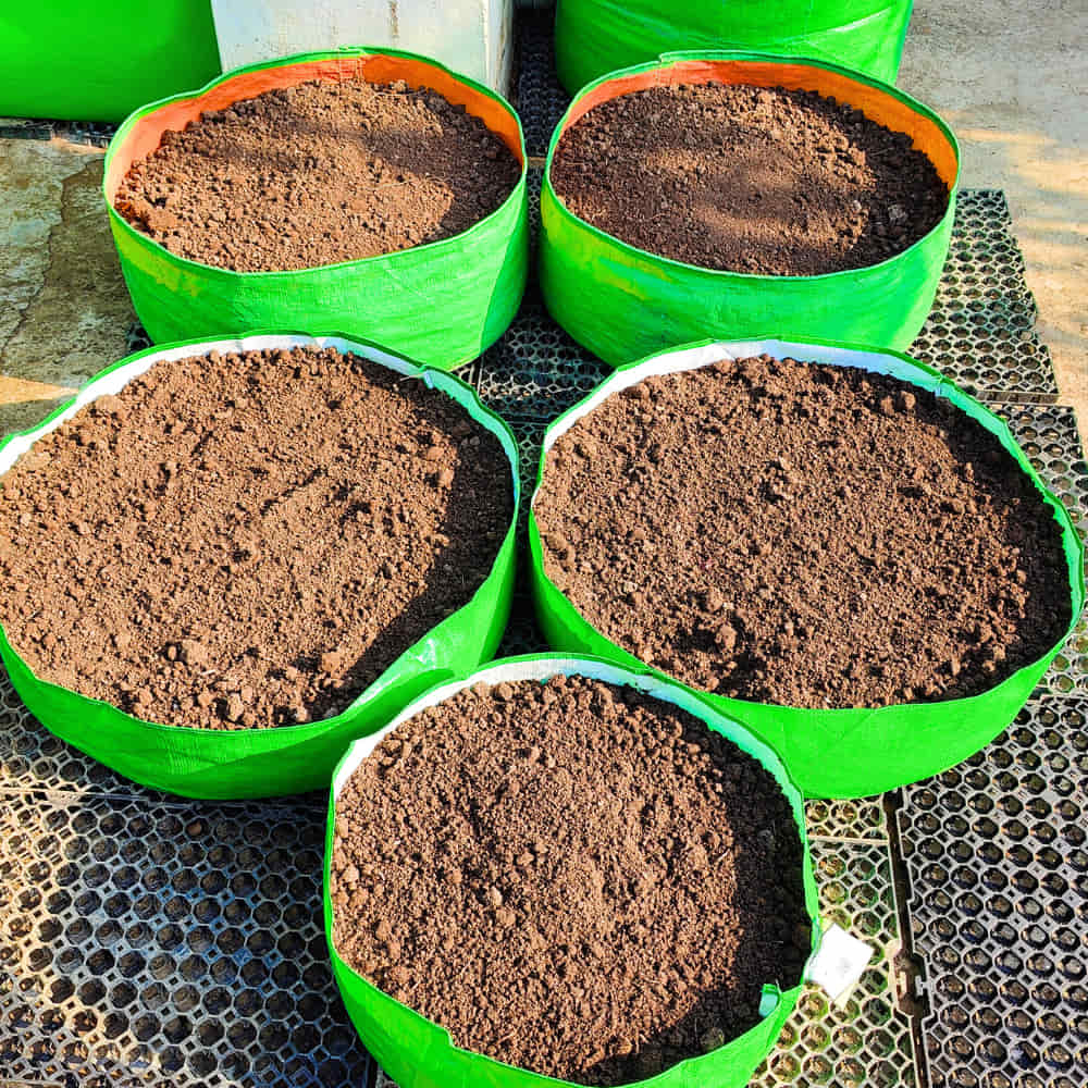 Carvix 18x6 Grow Bag for Leafy Vegetables, Premium HDPE 260 GSM, Green Plant Bags for Terrace Garden