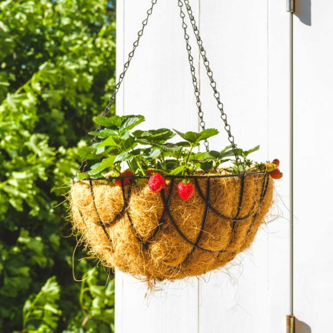 Carvix Hanging Basket Coco Coir Liner With Stand (Set of 6 PCs)