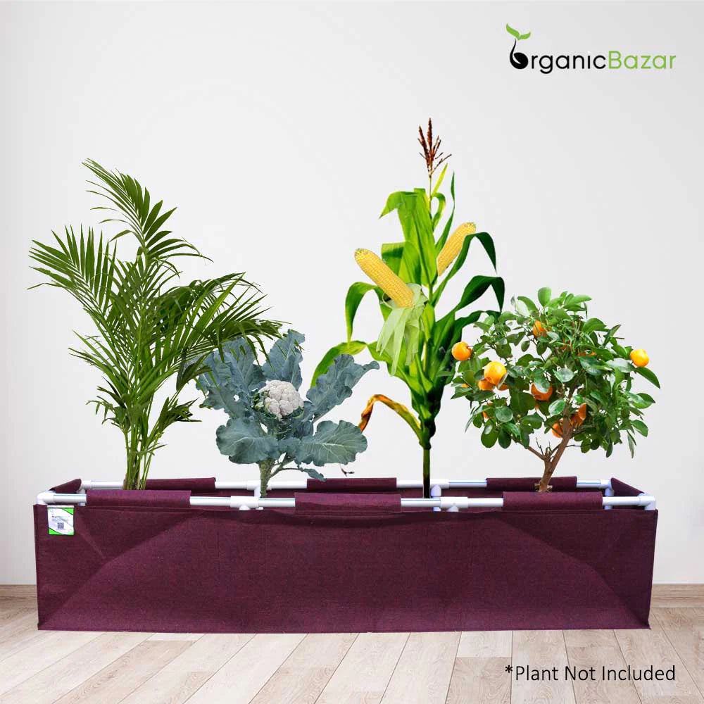 Carvix 60x12x12 Geo Fabric rectangular Grow Bag With Supporting PVC Pipes for Terrace and Balcony Garden