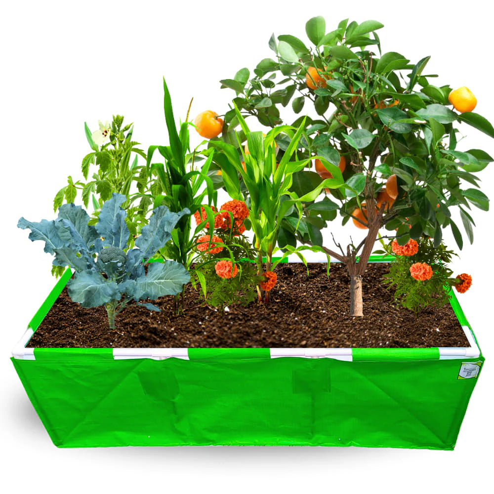 Carvix HDPE 60x24x18 Rectangle Grow Bag With Supporting Pvc Pipes Extra Thick Premium Quality Grow Bags
