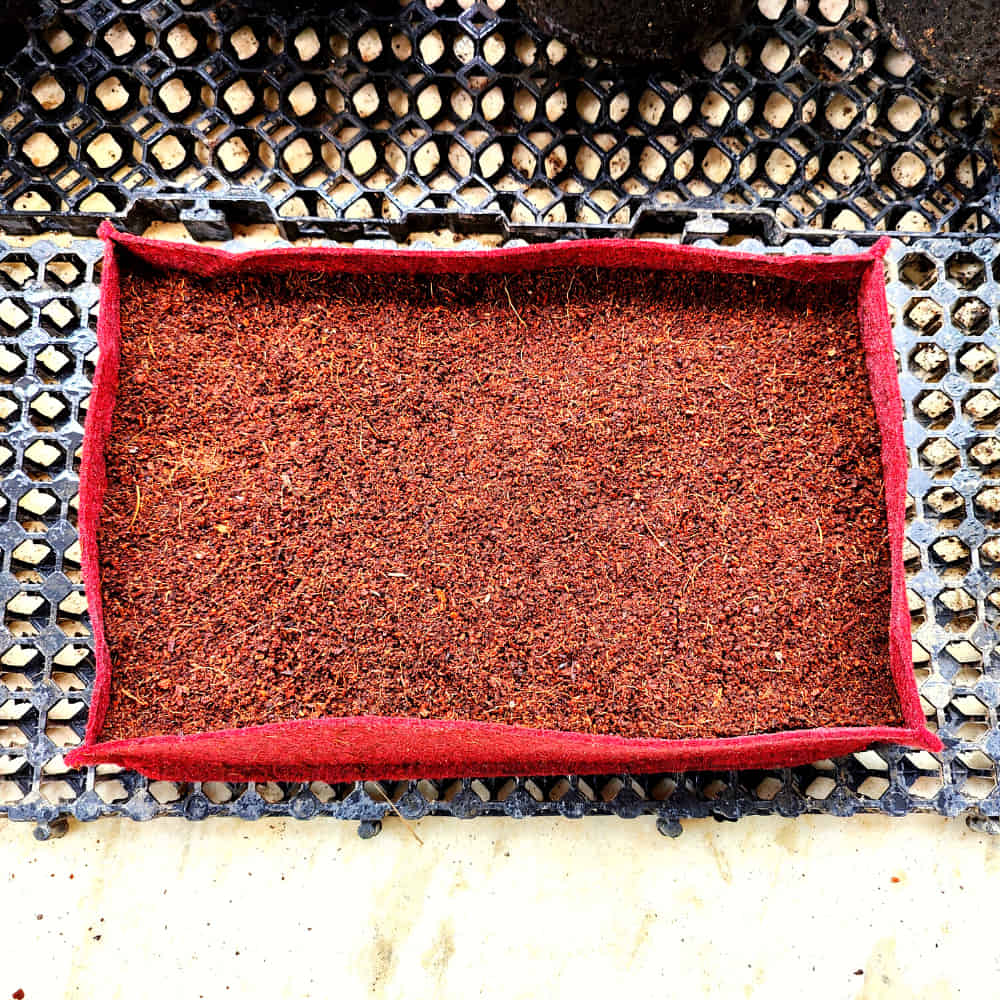 Carvix Geo Fabric Microgreens/Tray Grow Bags For Home & Terrace Garden