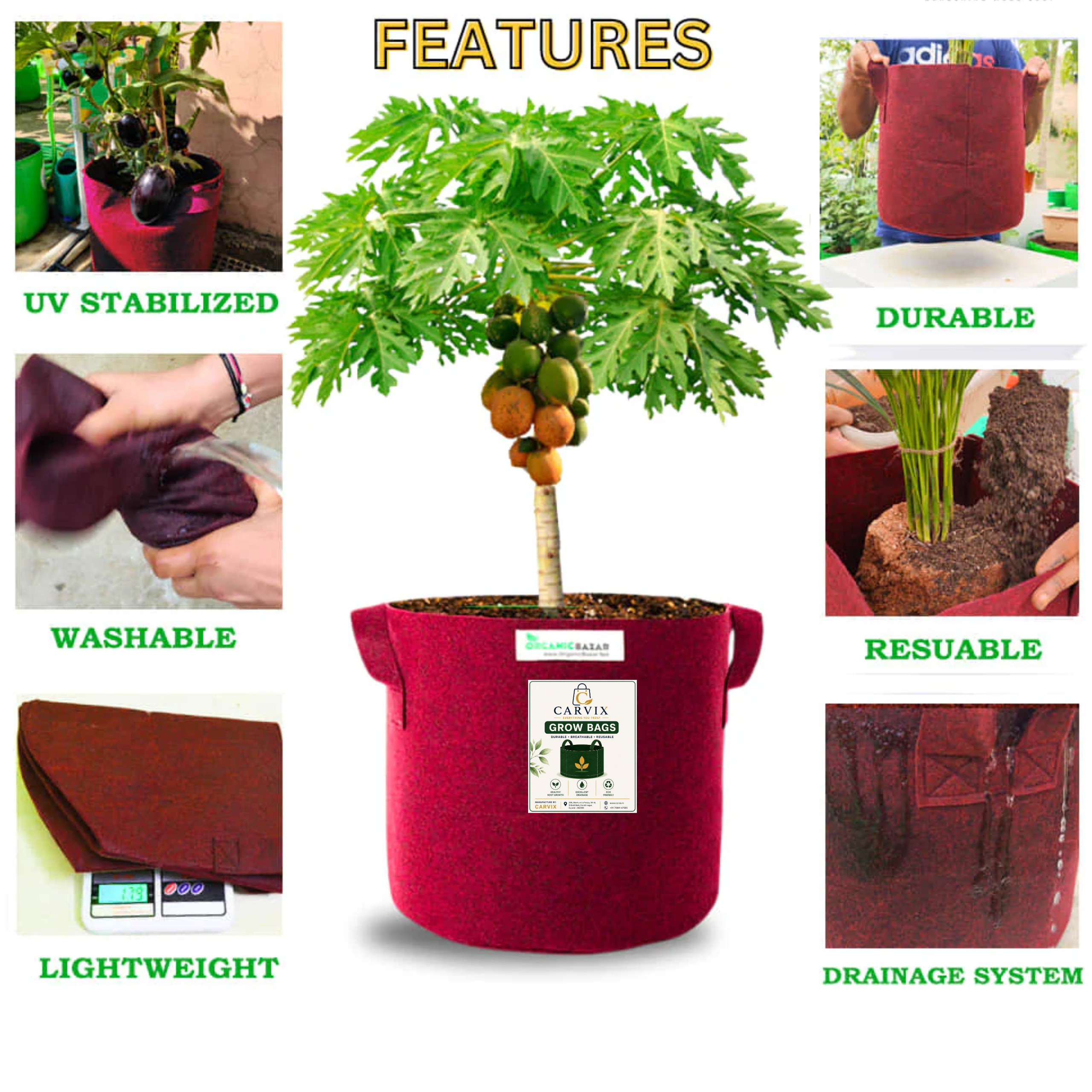 Carvix Geo 24×24 Grow Bag for Home & Terrace Gardening Suitable for Fruit Tree, Premium Geo Fabric 450 GSM Plant Bags