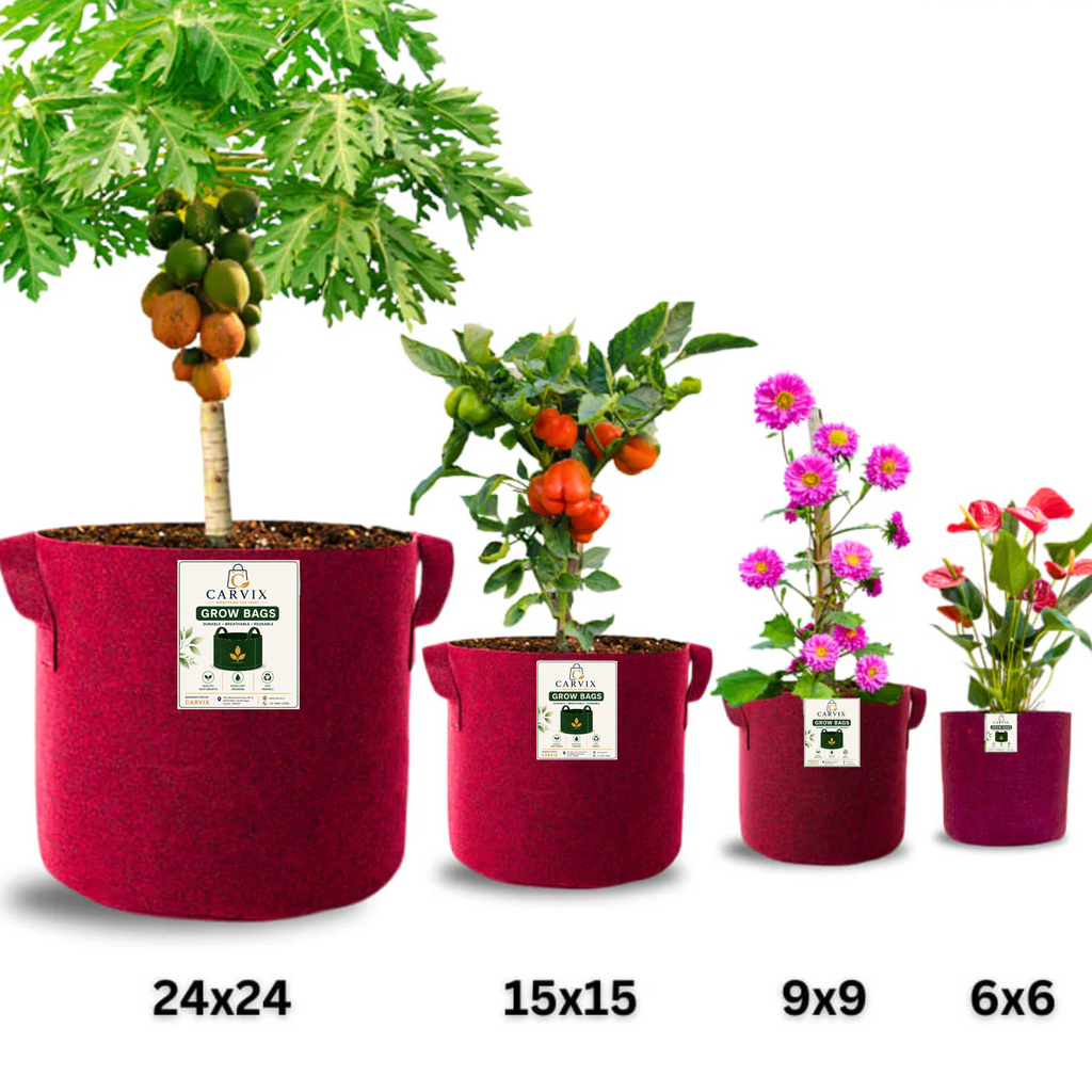 Carvix Geo 24×24 Grow Bag for Home & Terrace Gardening Suitable for Fruit Tree, Premium Geo Fabric 450 GSM Plant Bags