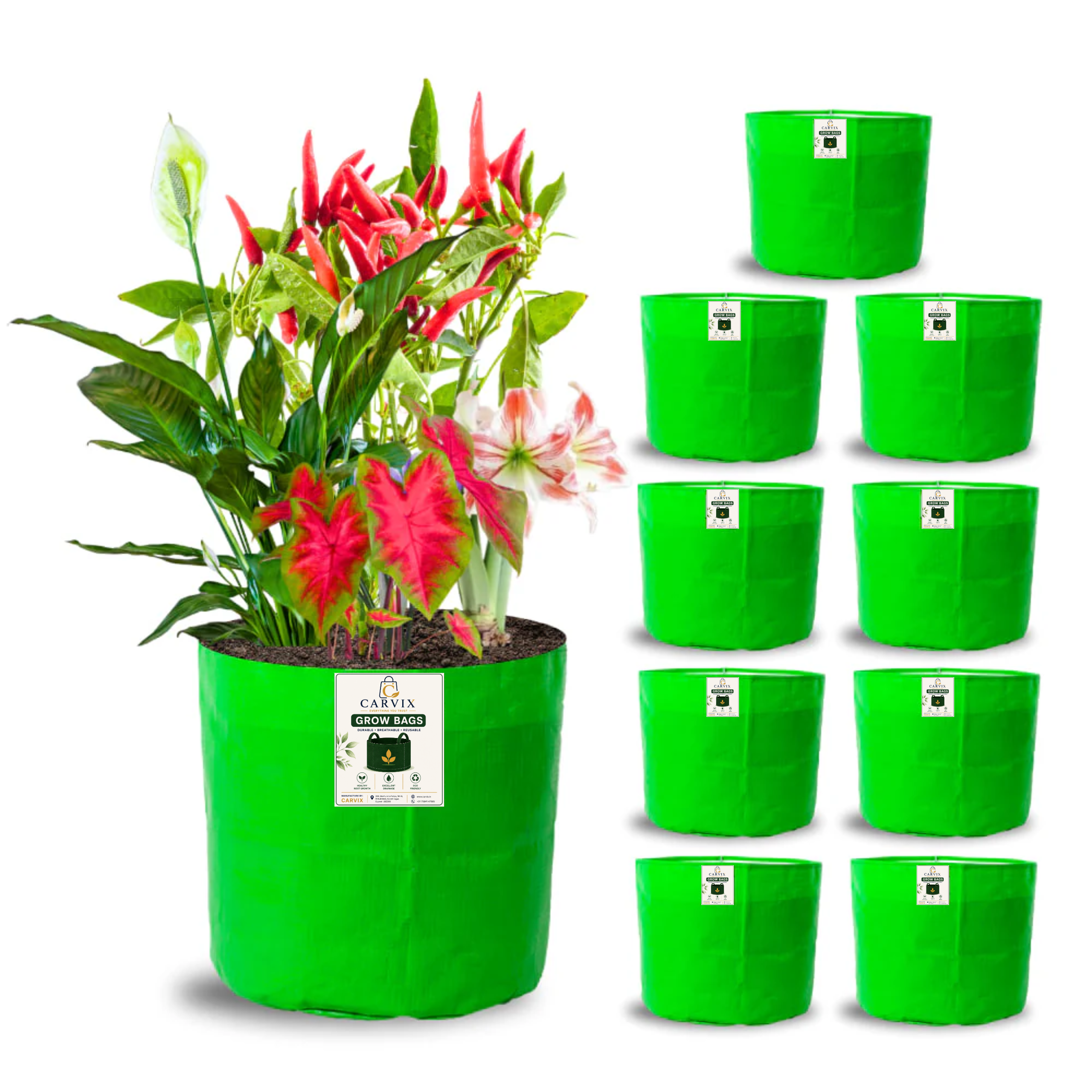 Carvix 8x8 Grow Bags for Terrace Garden, Premium HDPE 260 GSM, Green Plant Bags