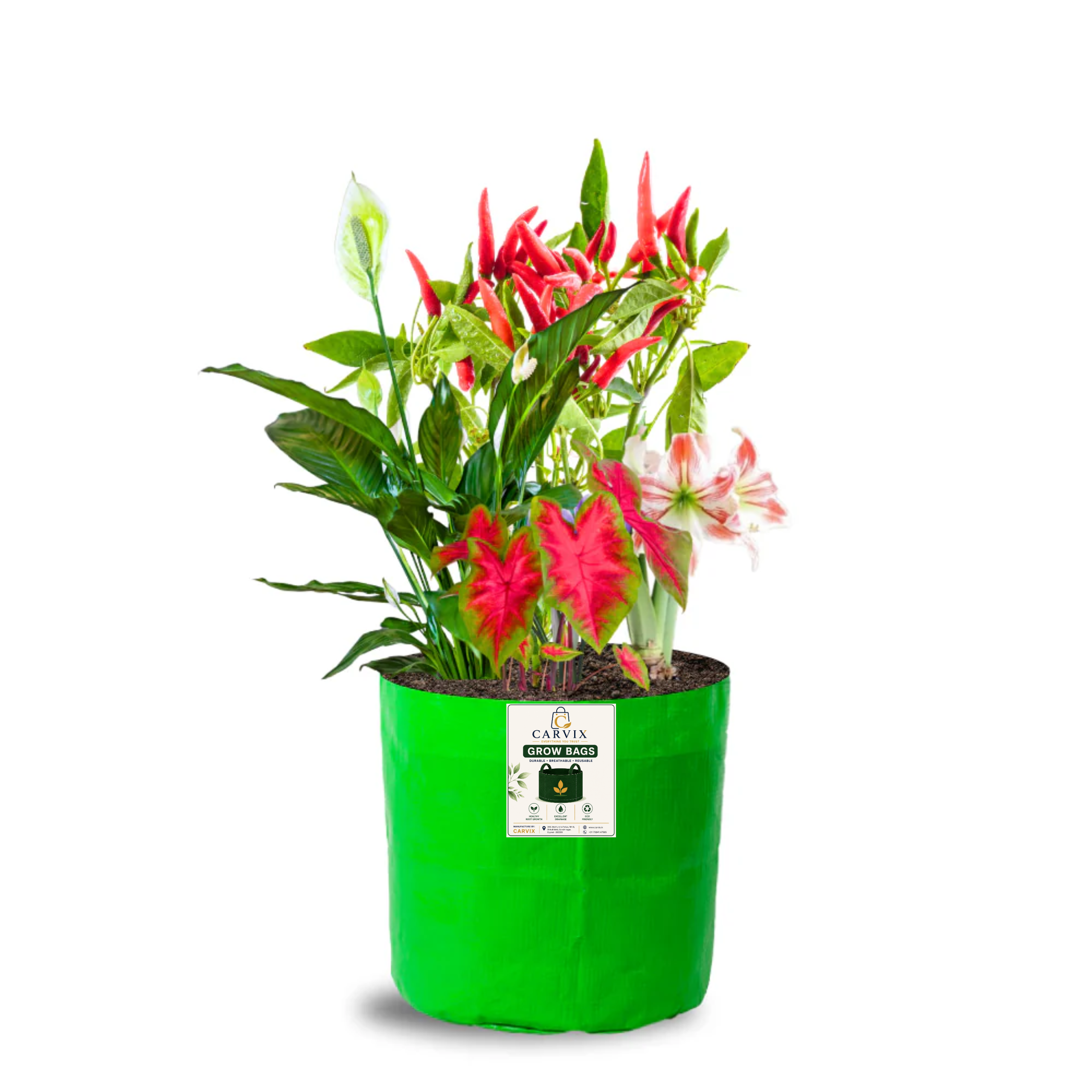 Carvix 8x8 Grow Bags for Terrace Garden, Premium HDPE 260 GSM, Green Plant Bags