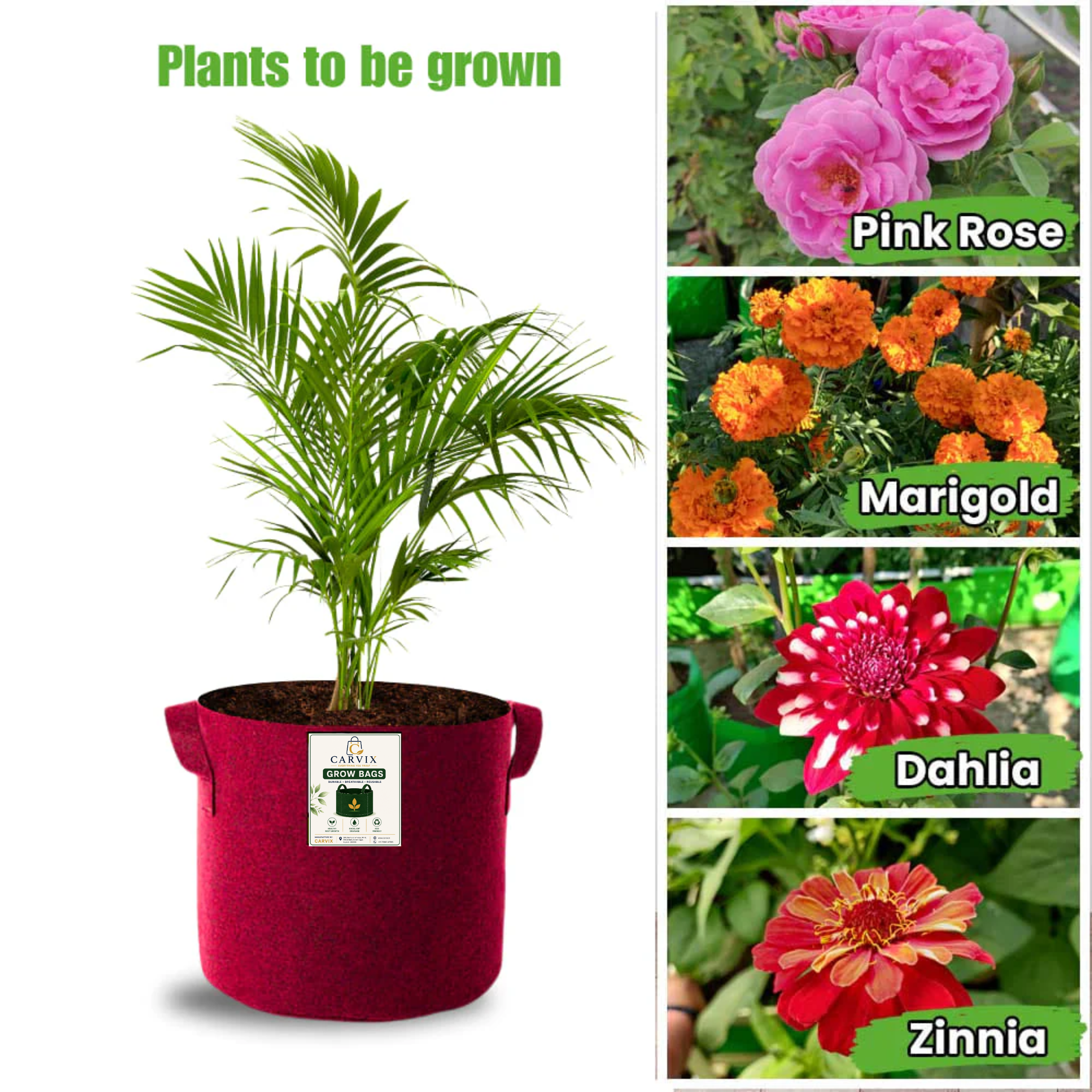 Carvix 9x9 Geo Grow Bags Suitable for Vegetable and Flower Plants, Premium Quality 450 GSM Maroon Planters for Terrace Garden