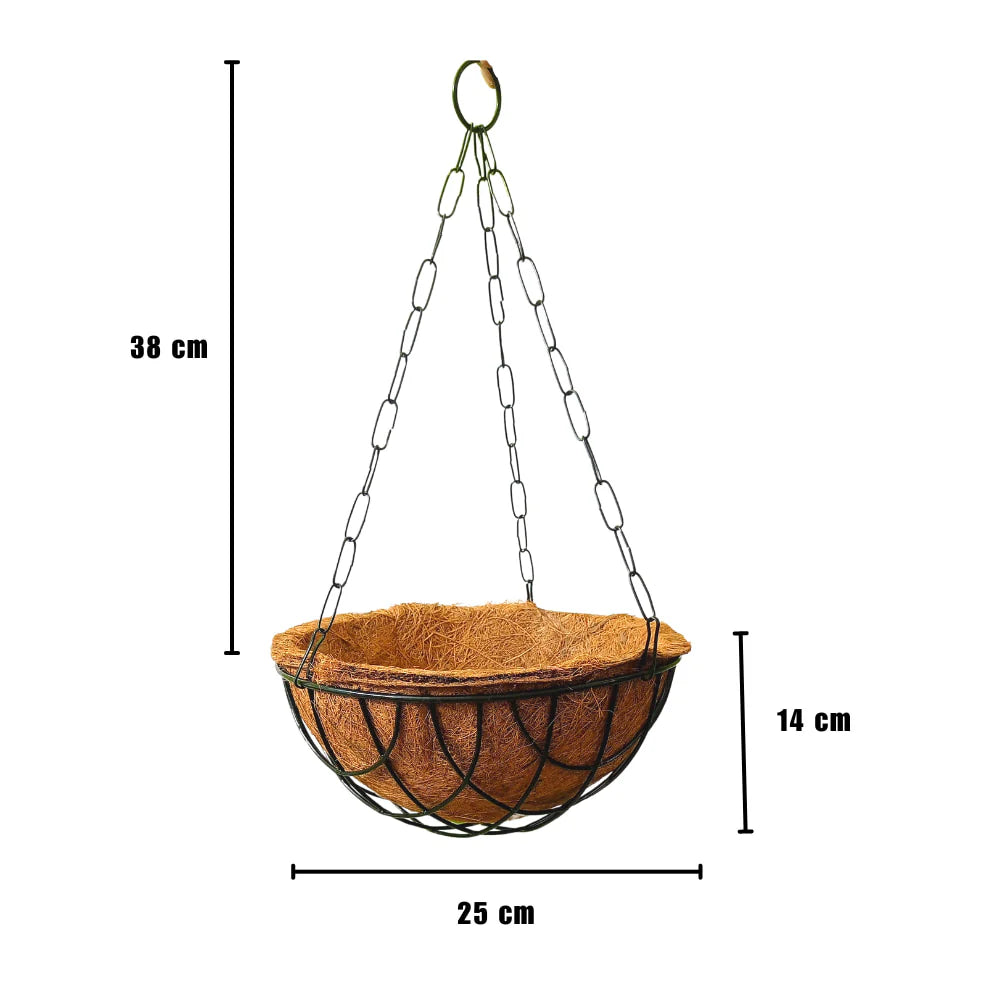 Carvix Hanging Basket Coco Coir Liner With Stand (Set of 6 PCs)
