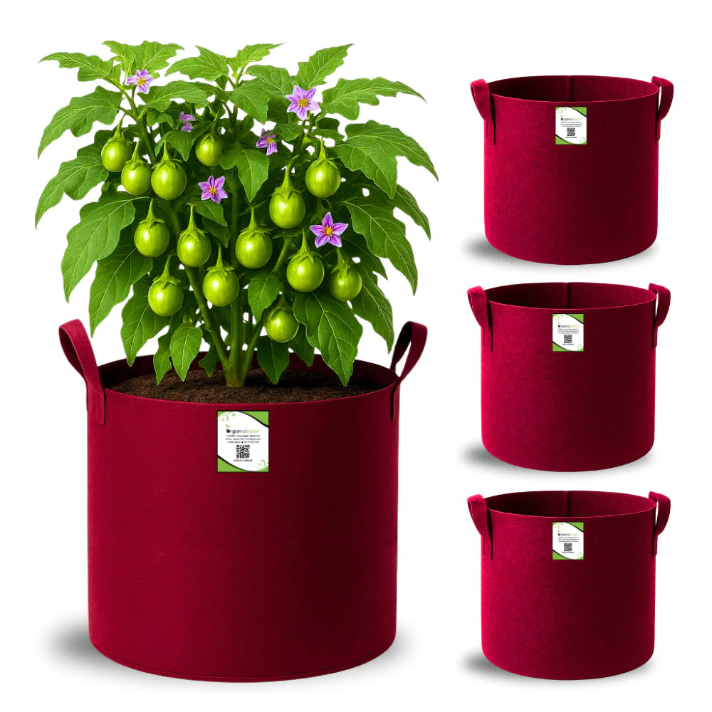 Carvix Geo Fabric 15x15 Grow Bag For Terrace Gardening Suitable For Vegetable and Flower Plants