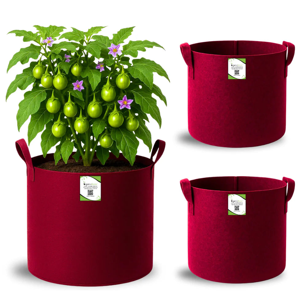 Carvix Geo Fabric 15x15 Grow Bag For Terrace Gardening Suitable For Vegetable and Flower Plants