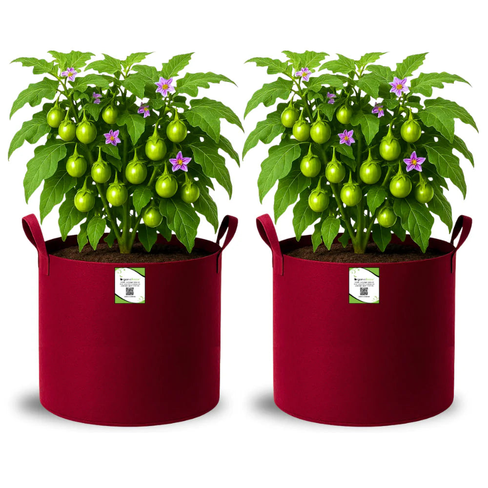 Carvix Geo Fabric 15x15 Grow Bag For Terrace Gardening Suitable For Vegetable and Flower Plants