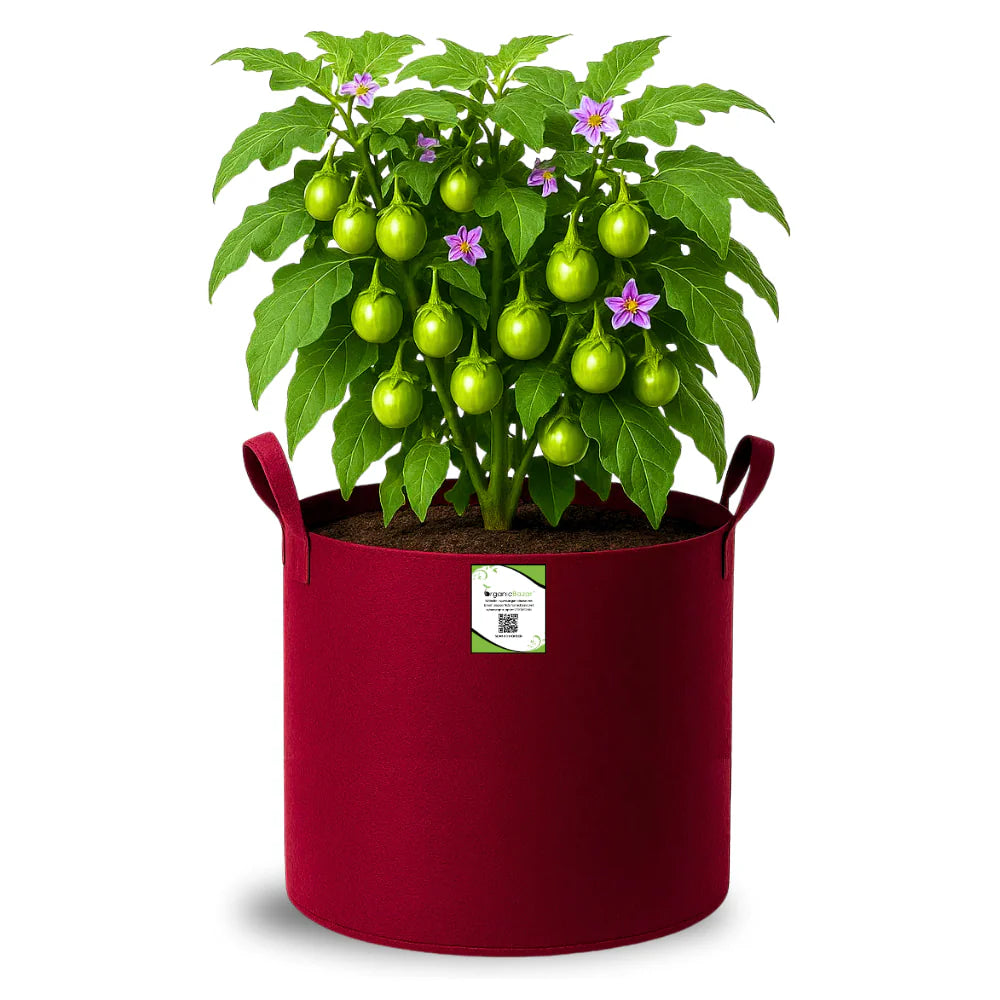 Carvix Geo Fabric 15x15 Grow Bag For Terrace Gardening Suitable For Vegetable and Flower Plants