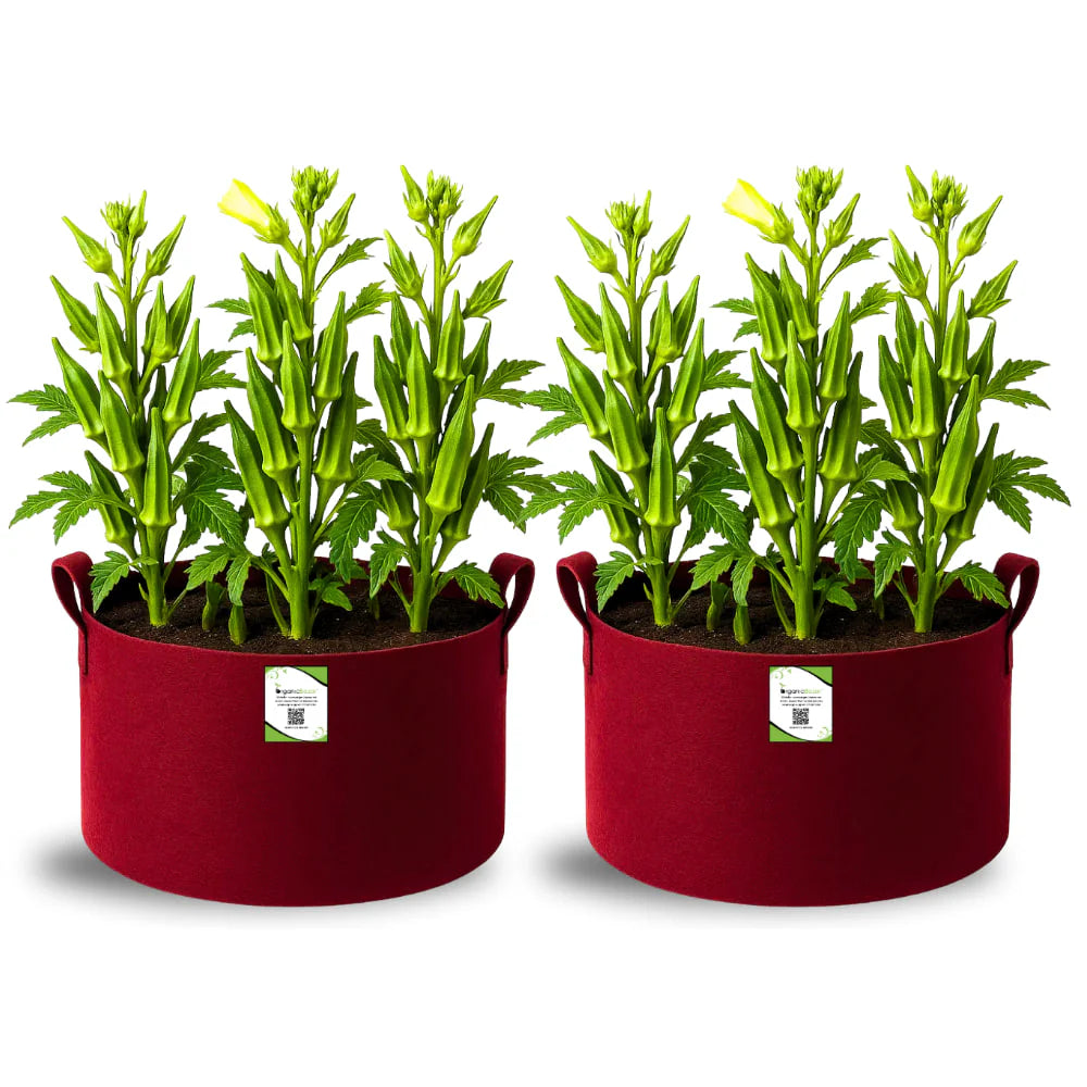 Carvix Premium 18X12 Geo Fabric Grow Bags For Home Garden