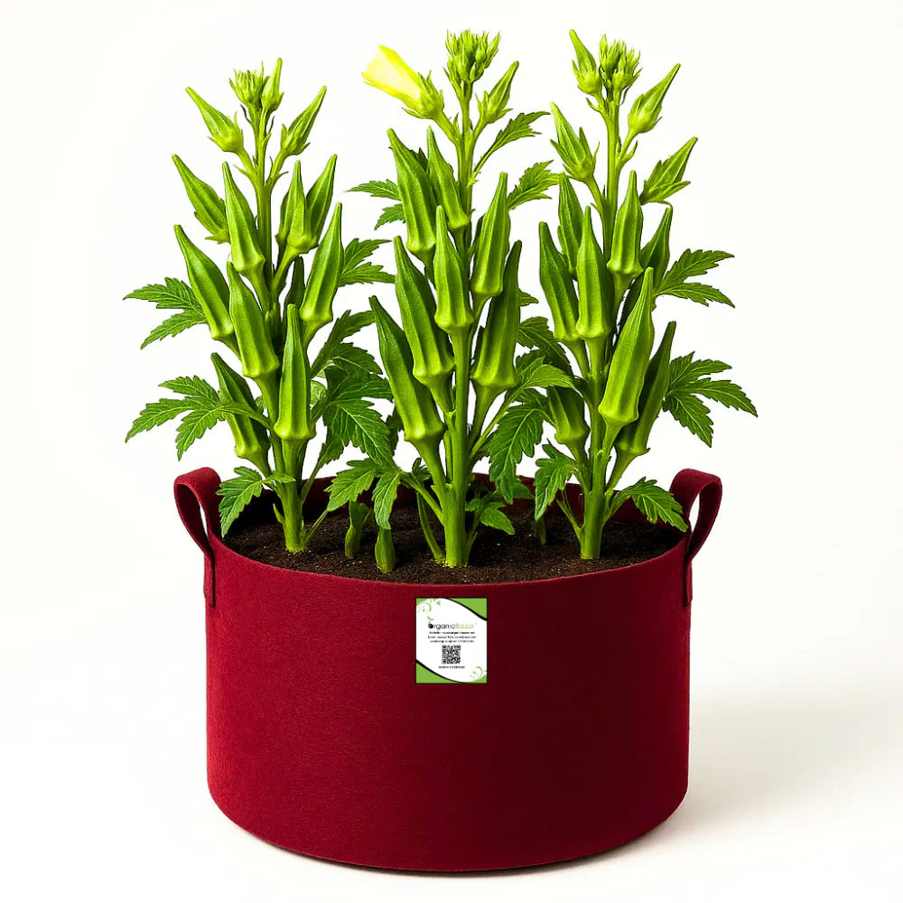 Carvix Premium 18X12 Geo Fabric Grow Bags For Home Garden