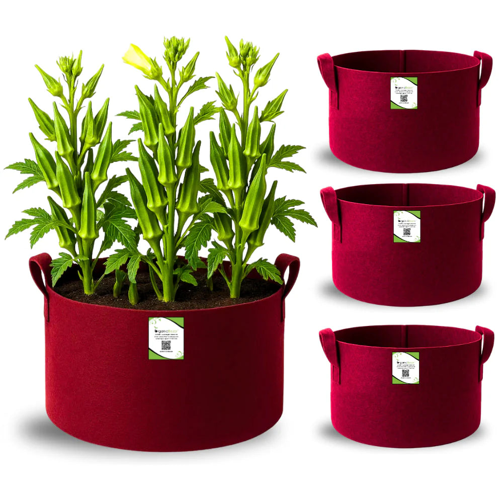 Carvix Premium 18X12 Geo Fabric Grow Bags For Home Garden