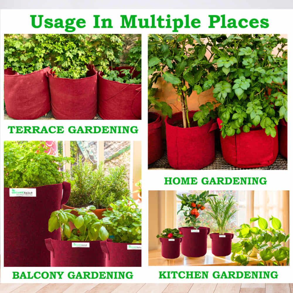Geo Fabric 12x12 Grow Bag For Terrace Gardening Suitable For Vegetable and Flower Plants