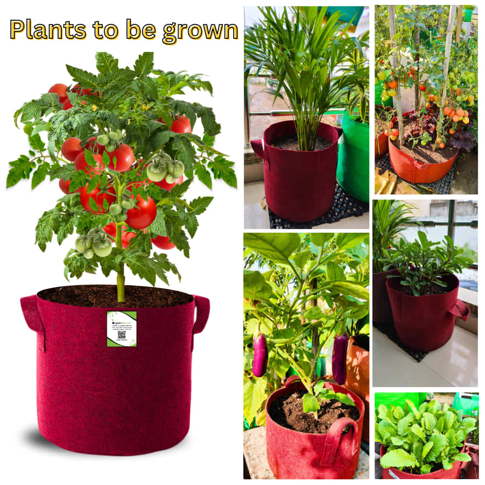 Carvix Geo Fabric 15x15 Grow Bag For Terrace Gardening Suitable For Vegetable and Flower Plants