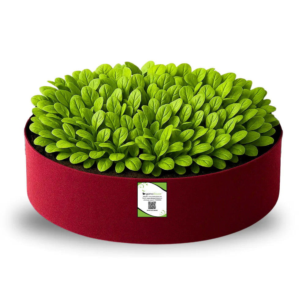Carvix Geo Fabric 24x6 Grow Bag For Terrace Gardening Suitable For Leafy Vegetable and Flower Plants