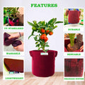 Carvix Geo Fabric 21×21 Big Size Grow Bag For Home Gardening Suitable For Fruit Plants