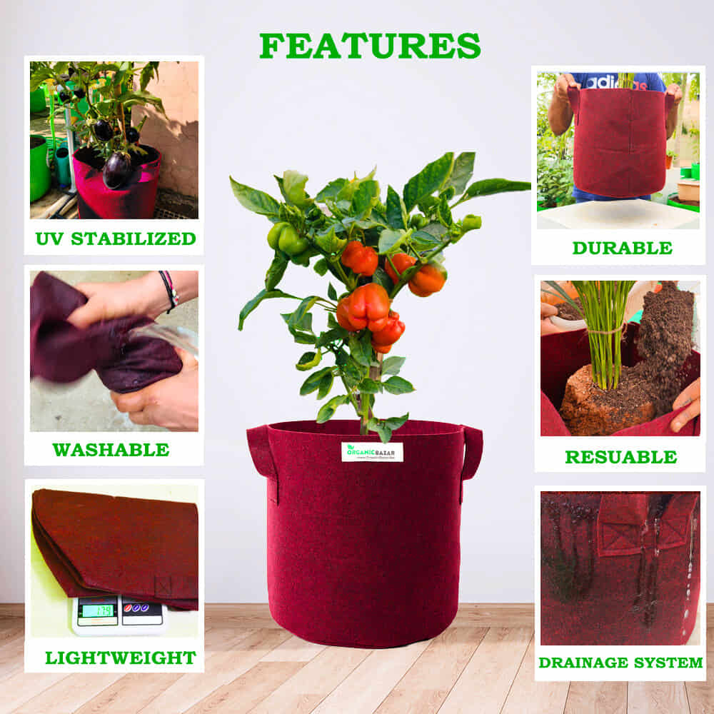 Carvix Geo Fabric 21×21 Big Size Grow Bag For Home Gardening Suitable For Fruit Plants