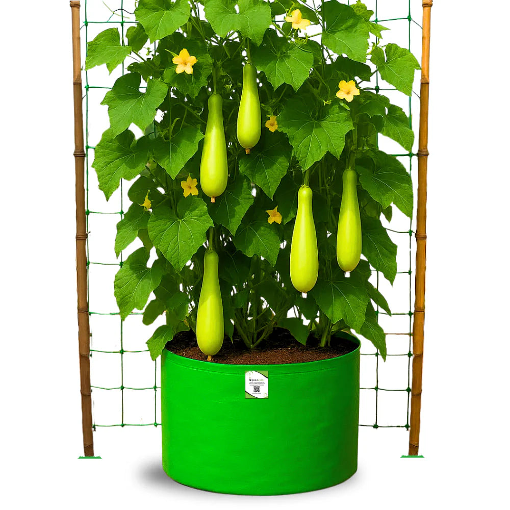 HDPE 24x18 Large Grow Bags for Terrace Gardening Extra Thick Premium Quality Grow Bags