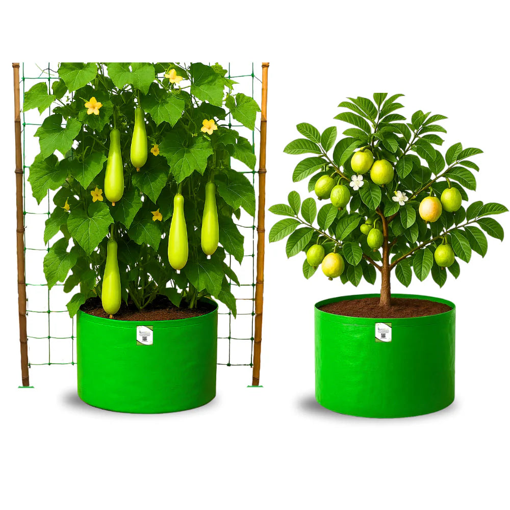 HDPE 24x18 Large Grow Bags for Terrace Gardening Extra Thick Premium Quality Grow Bags