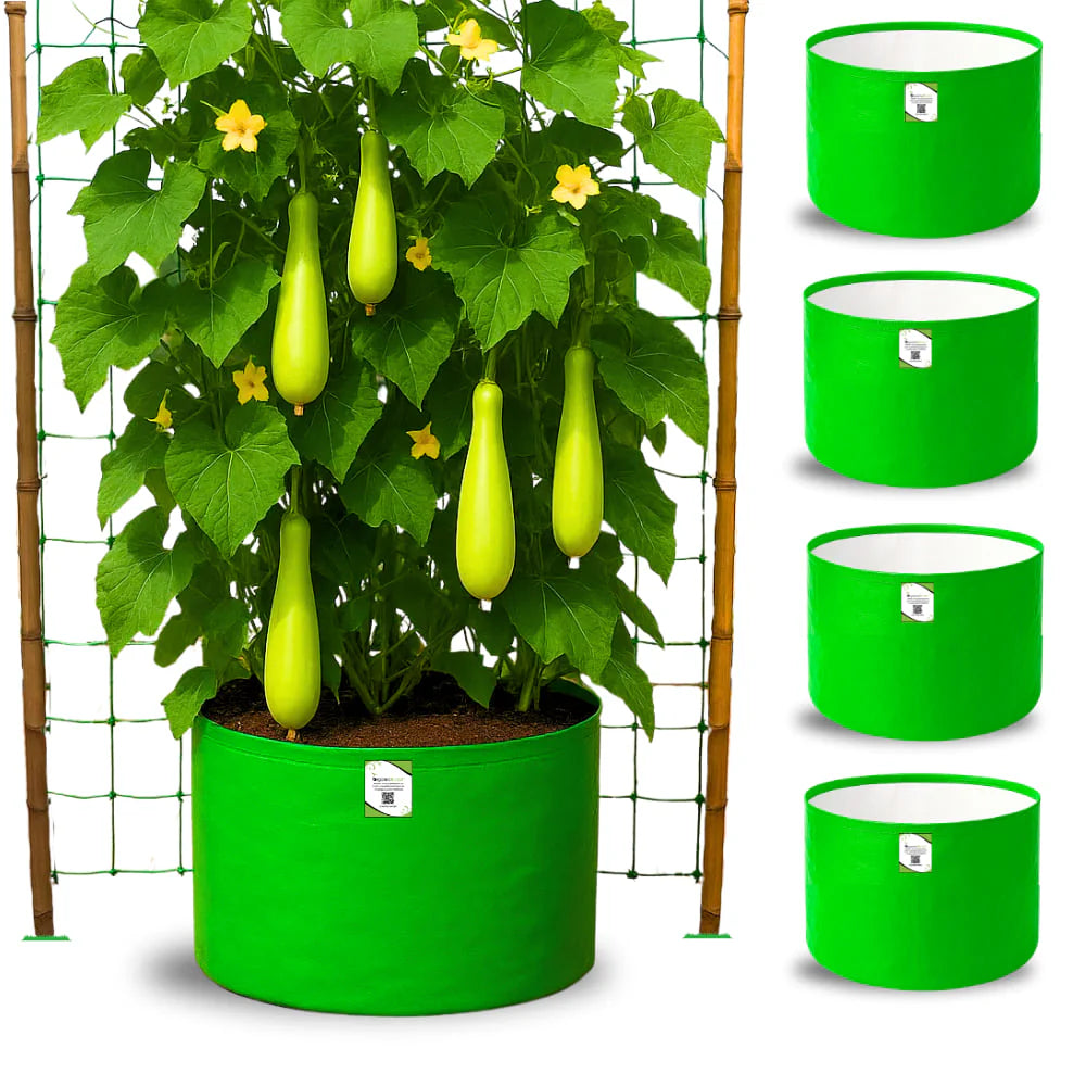 HDPE 24x18 Large Grow Bags for Terrace Gardening Extra Thick Premium Quality Grow Bags